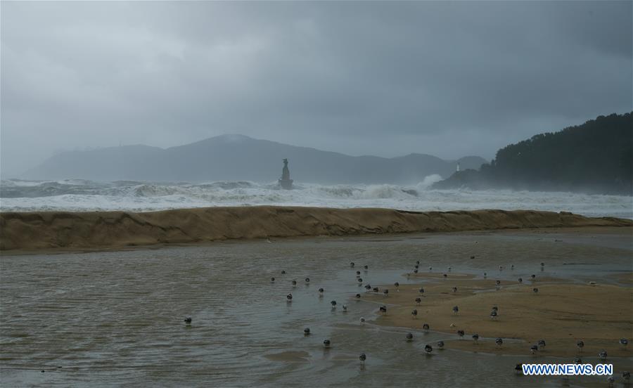 SOUTH KOREA-BUSAN-TYPHOON KONG-REY