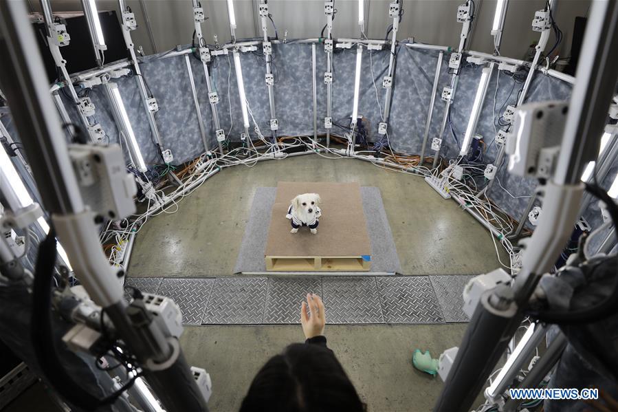 JAPAN-YOKOHAMA-PET-EXHIBITION