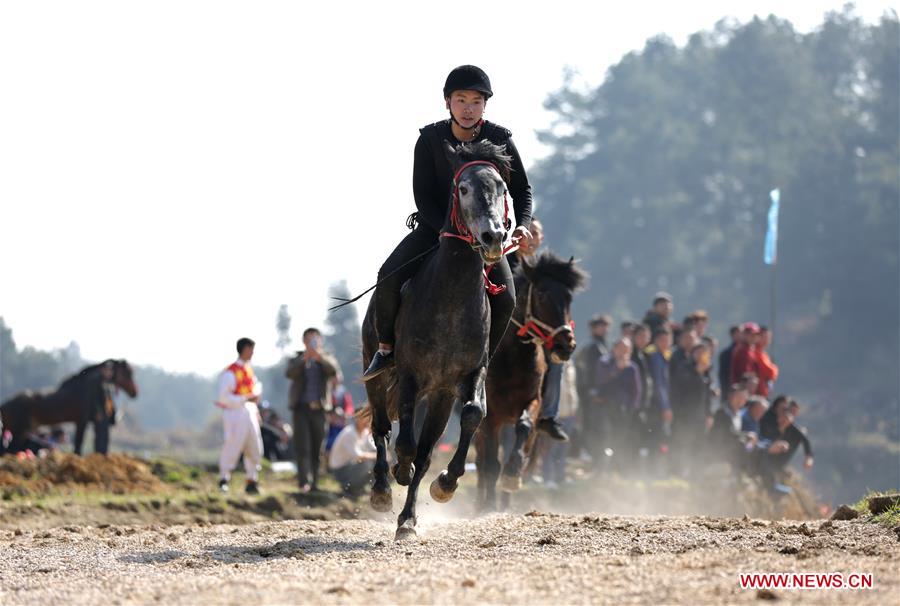 #CHINA-SPRING FESTIVAL-CELEBRATION-HORSE (CN)
