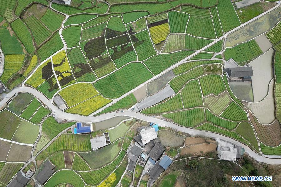 #CHINA-SPRING-SCENERY (CN)