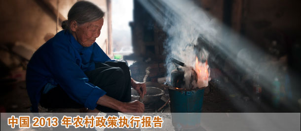 中國農(nóng)村政策執(zhí)行報(bào)告