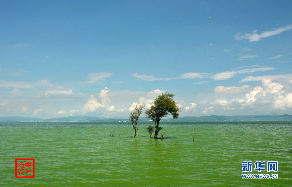 陽光昆明，爽爽的春城