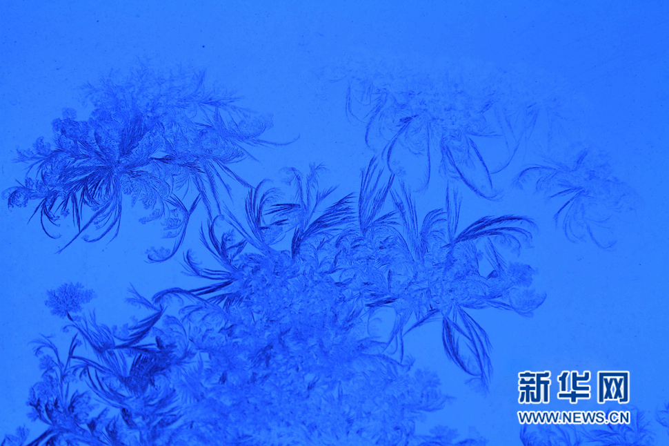 忽如一夜寒冬來，千家萬戶窗花開