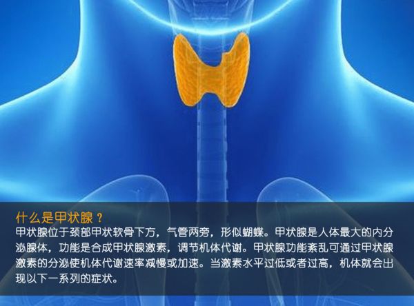 關注甲狀腺健康，你應該知道的那些事