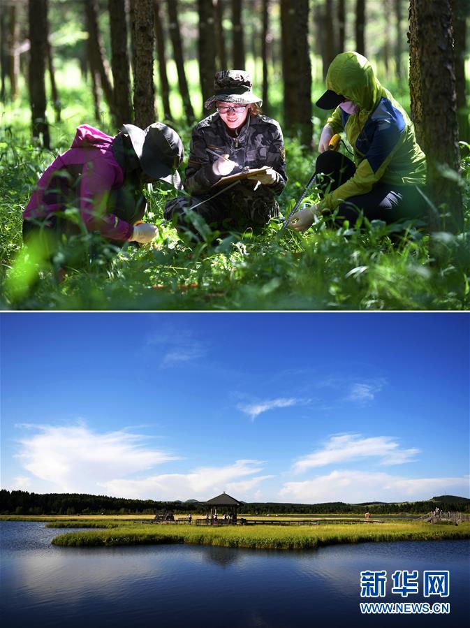 （十九大&middot;讀報(bào)告 話民生）（6）加快生態(tài)文明體制改革，建設(shè)美麗中國(guó)