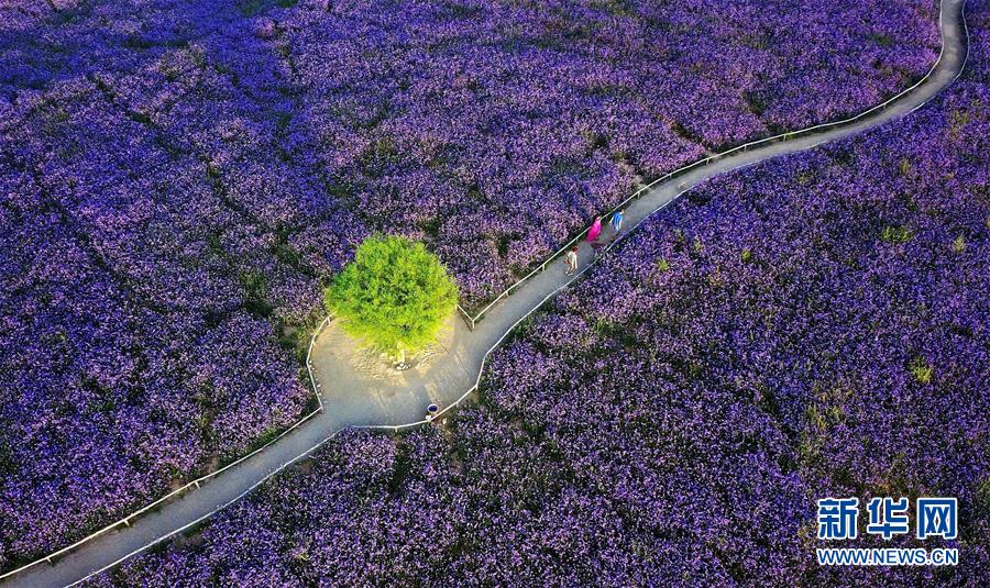 （十九大&middot;讀報告 話民生）（7）加快生態文明體制改革，建設美麗中國