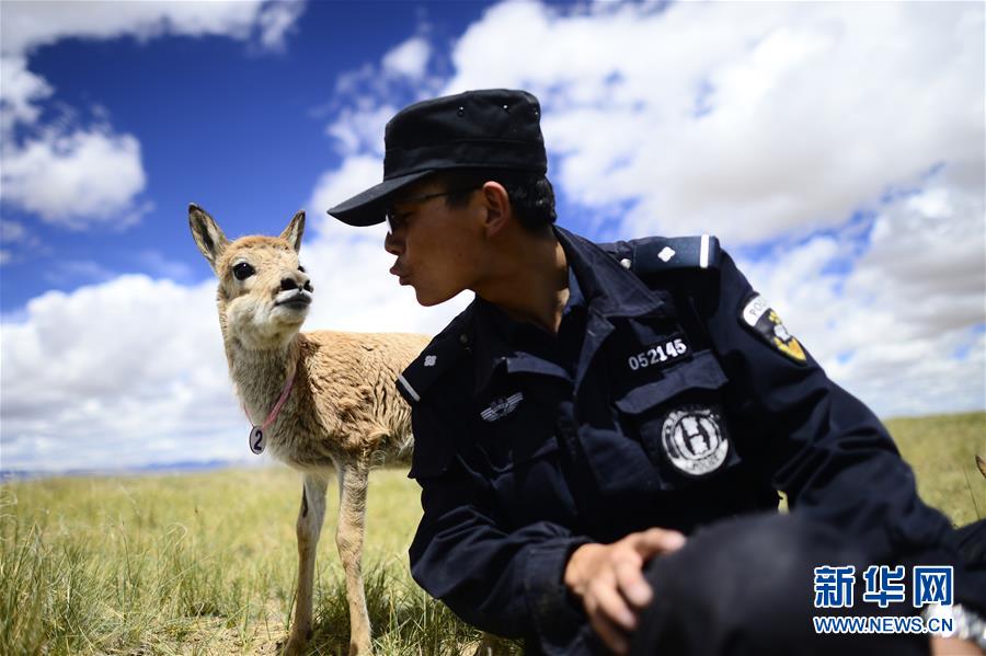 （十九大&middot;讀報(bào)告 話民生）（8）加快生態(tài)文明體制改革，建設(shè)美麗中國(guó)