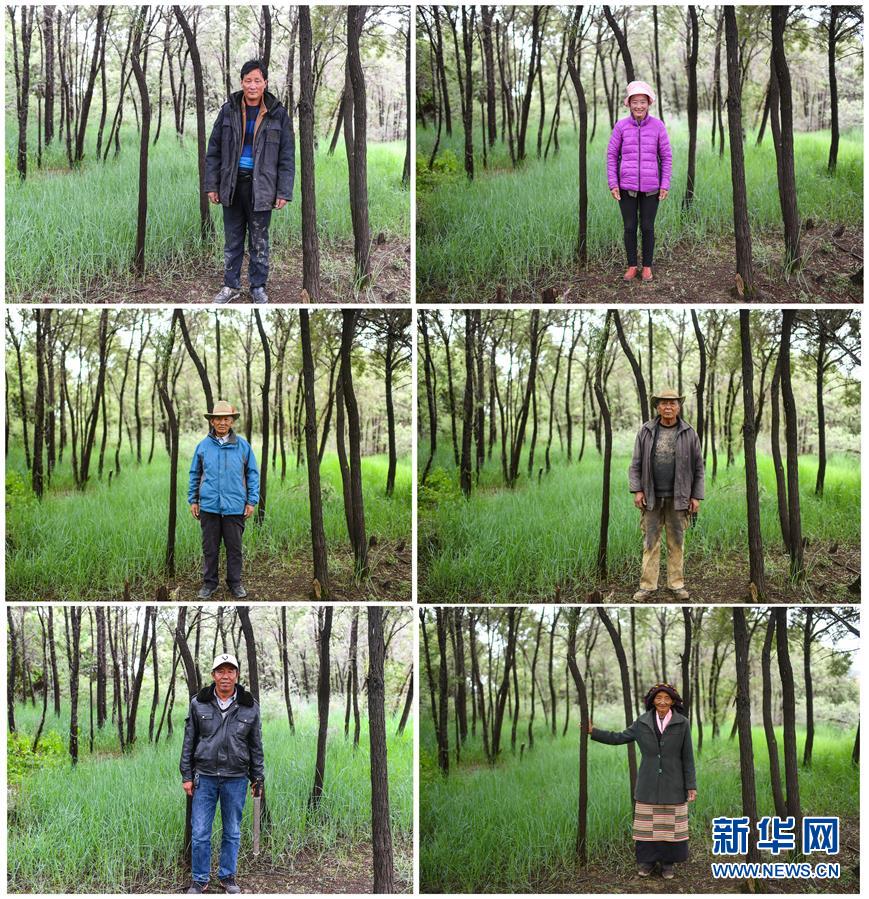 （十九大&middot;讀報告 話民生）（9）加快生態(tài)文明體制改革，建設美麗中國