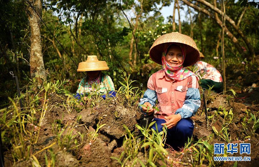 （新媒體專線）（6）立足獨特優勢 勇立改革潮頭&mdash;&mdash;習近平總書記在海南考察回訪記