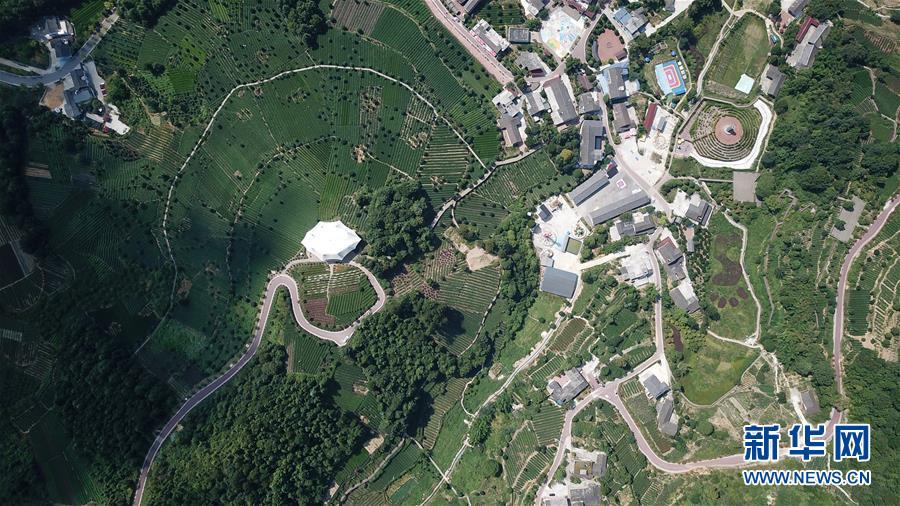 （大江奔流——來自長江經濟帶的報道·圖文互動）（1）在這里，做一個幸福的農民