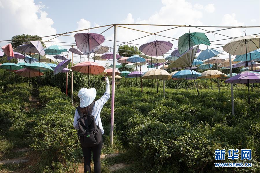 （大江奔流——來自長江經濟帶的報道·圖文互動）（4）在這里，做一個幸福的農民