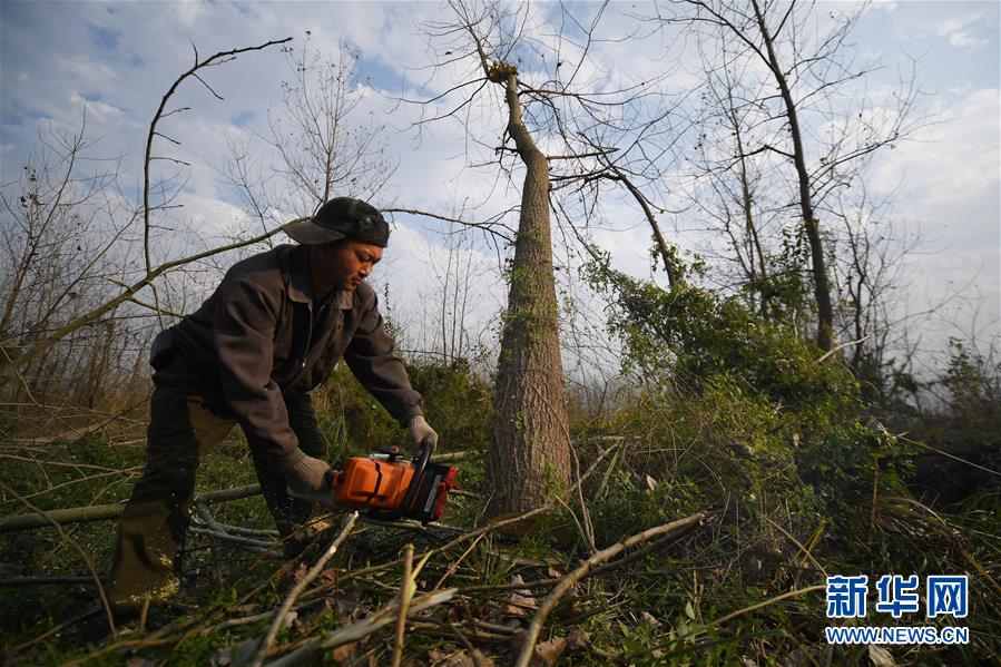 （大江奔流&mdash;&mdash;來自長江經濟帶的報道&middot;新華全媒頭條&middot;圖文互動）（6）打造經濟高質量發展的強勁引擎&mdash;&mdash;深入推動長江經濟帶發展述評