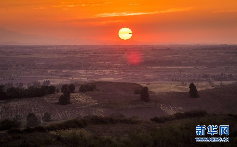 （圖文互動）（1）藝術家進村 新疆古老村莊煥發新顏