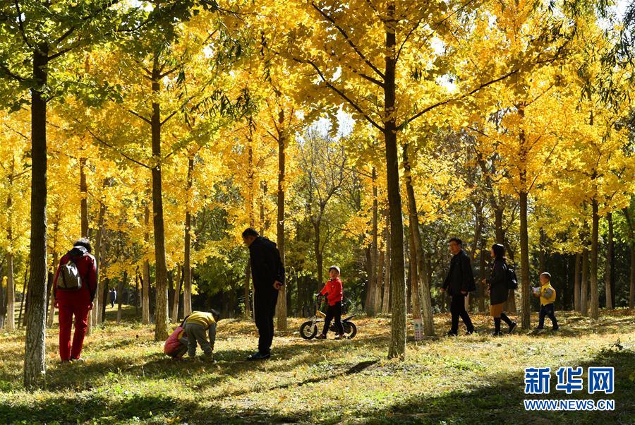 （百城百縣百企調研行&middot;圖文互動）（2）生態 文明 宜居&mdash;&mdash;北京城市副中心未來之城正在崛起
