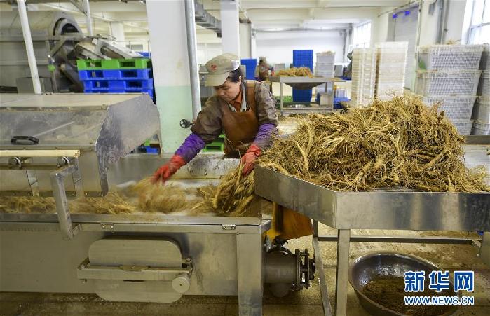 (百城百縣百企調研行·圖文互動)(5)吉林集安:邊陲“綠色明珠”為何如此閃亮?