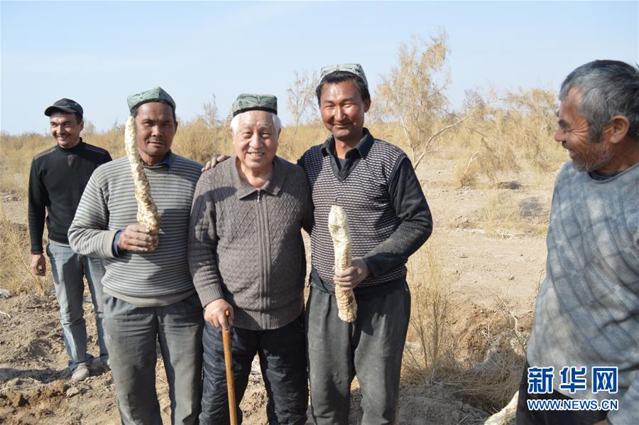 （圖文互動(dòng)）（3）&ldquo;劉紅柳&rdquo;，一輩子大漠扎根種樹(shù)