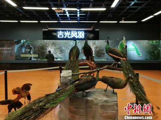 先有雞還是先有蛋？這個科普展覽有點(diǎn)&ldquo;不一般&rdquo;