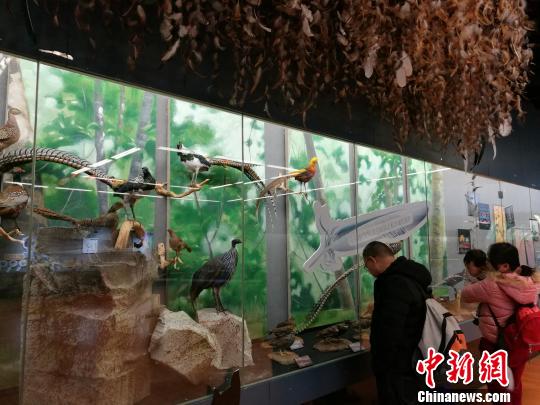 圖為展覽現(xiàn)場。　胡遠(yuǎn)航 攝