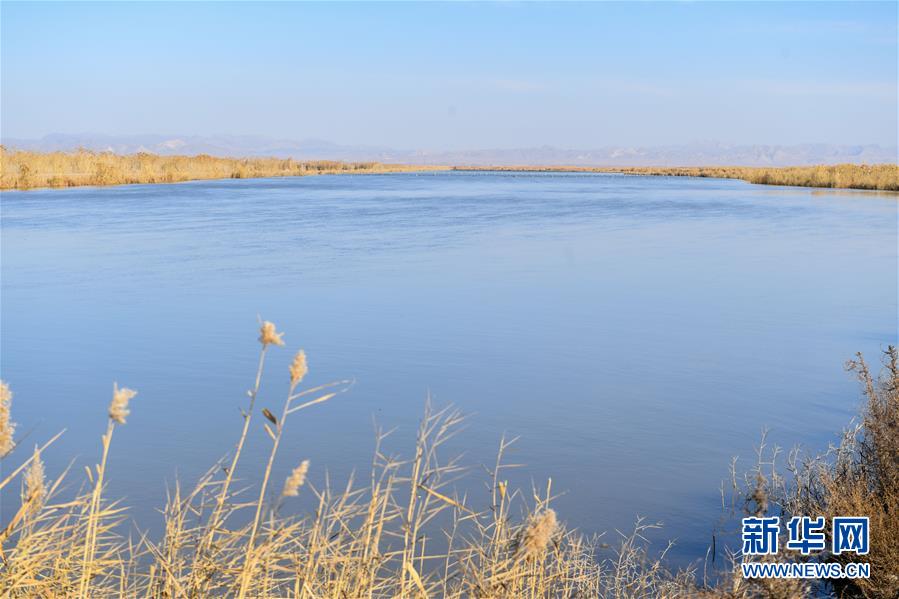 （在習近平新時代中國特色社會主義思想指引下&mdash;&mdash;新時代新作為新篇章&middot;圖文互動）（1）打響綠色品牌 &ldquo;四控&rdquo;治污增效&mdash;&mdash;內蒙古巴彥淖爾探索農業(yè)高質量發(fā)展