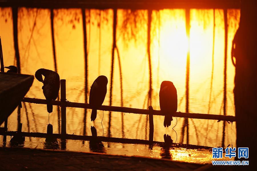 （圖文互動(dòng)）（8）國務(wù)院批復(fù)同意《河北雄安新區(qū)總體規(guī)劃（2018&mdash;2035年）》 