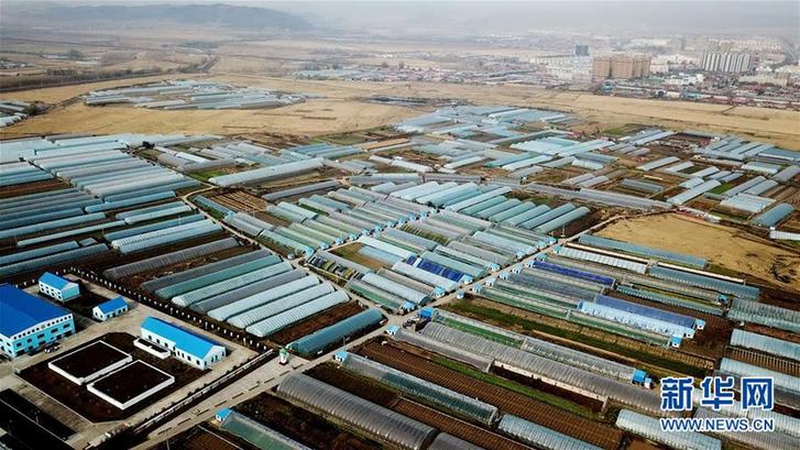 （在習近平新時代中國特色社會主義思想指引下&mdash;&mdash;新時代新作為新篇章&middot;鄉村振興戰略&middot;圖文互動）（5）&ldquo;十五連豐&rdquo;譜新篇&mdash;&mdash;端牢&ldquo;中國飯碗&rdquo;的龍江實踐