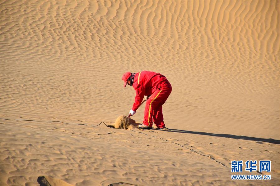 (新春走基層·圖文互動)(3)走進塔克拉瑪干:探訪沙漠物探人