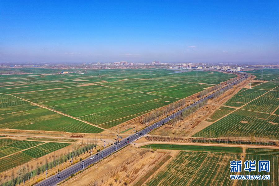 （新華全媒頭條&middot;圖文互動(dòng)）（2）奮進(jìn)，向著未來(lái)之城！&mdash;&mdash;河北雄安新區(qū)建設(shè)發(fā)展兩周年紀(jì)實(shí)