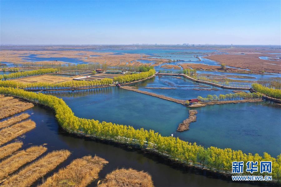 （新華全媒頭條&middot;圖文互動(dòng)）（5）奮進(jìn)，向著未來(lái)之城！&mdash;&mdash;河北雄安新區(qū)建設(shè)發(fā)展兩周年紀(jì)實(shí)