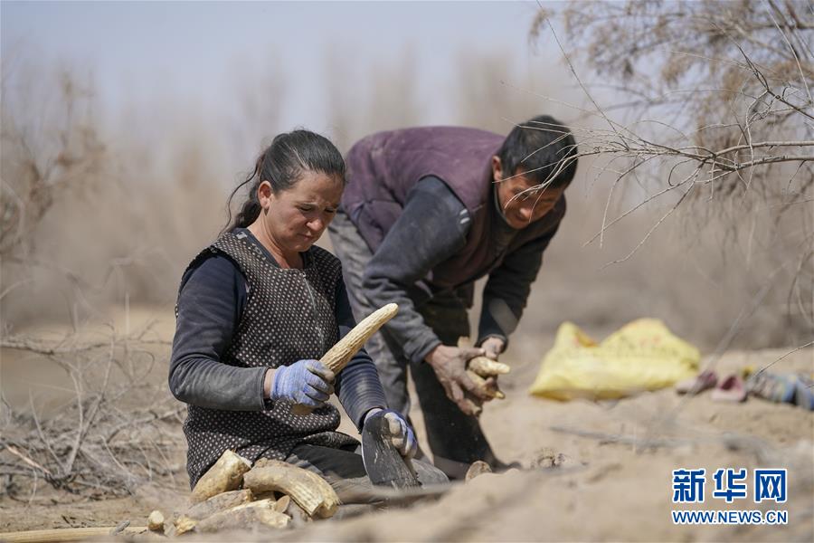（新華全媒頭條&middot;圖文互動）（6）一步千年，&ldquo;最后的沙漠部落&rdquo;遷入新家園