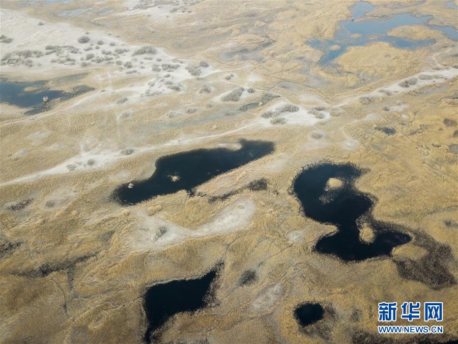 （圖文互動(dòng)）（1）海子里的牧羊人見證中國最長(zhǎng)內(nèi)陸河生態(tài)變遷