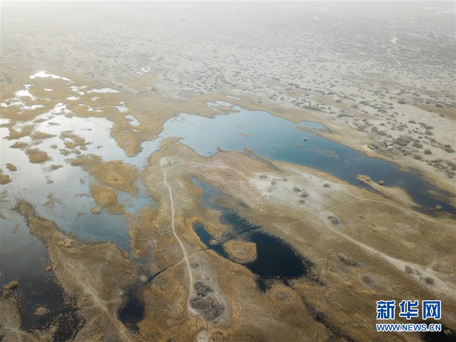 （圖文互動(dòng)）（4）海子里的牧羊人見證中國最長(zhǎng)內(nèi)陸河生態(tài)變遷