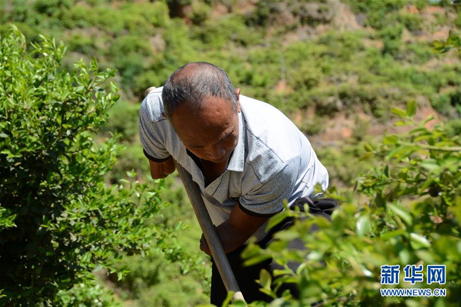 (壯麗70年&middot;奮斗新時(shí)代&middot;圖文互動(dòng)）（1）福建長汀：換顏&ldquo;山光水濁&rdquo; 永駐綠水青山