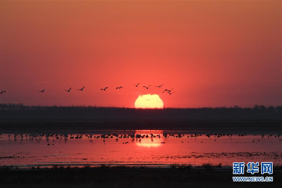 (北京世園會·圖文互動)(3)吉林分區域推進生態保護 讓綠色發展底氣更足