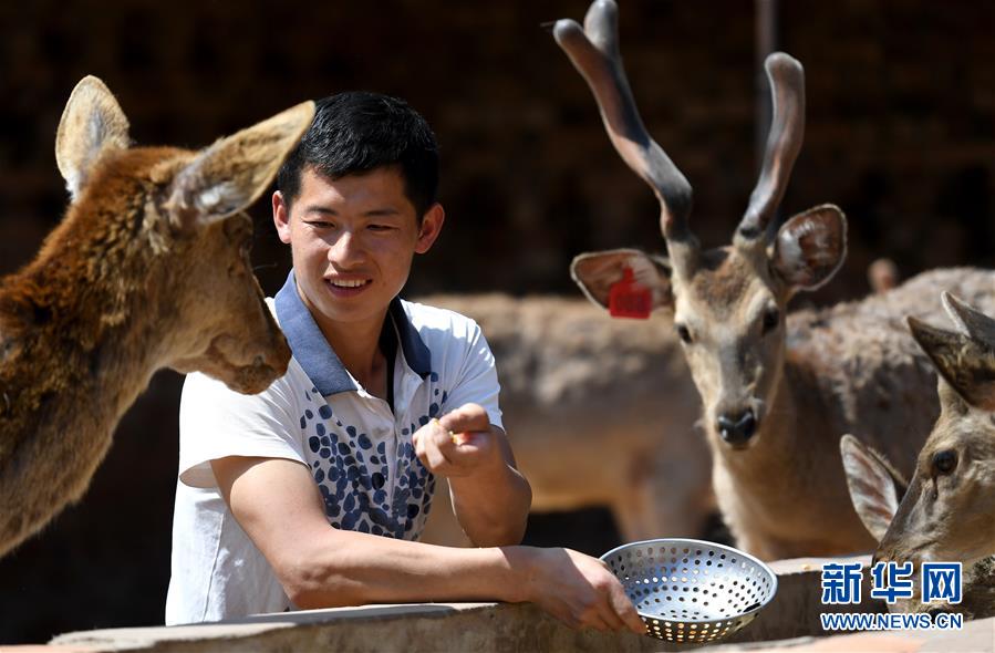 （新華全媒頭條&middot;圖文互動）（8）紅色土地上的不變初心&mdash;&mdash;革命老區井岡山和延安脫貧啟示錄