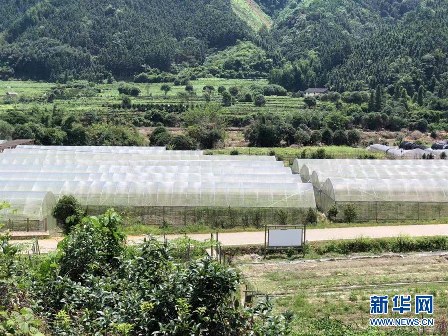 （脫貧攻堅(jiān)&middot;圖文互動(dòng)）（2）貧困戶成了致富帶頭人