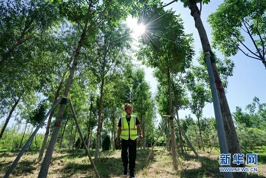 （壯麗70年&middot;奮斗新時代&middot;重溫囑托看變化&middot;圖文互動）（1）雄安新區：錨定高質量發展　奮力書寫新時代答卷