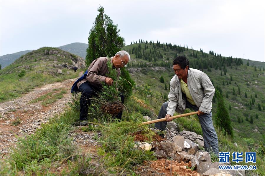 （圖文互動）（2）&ldquo;退休20年，咱就干了這么一件事&rdquo;&mdash;&mdash;記山西水利廳退休干部高文毓的&ldquo;綠山夢&rdquo;