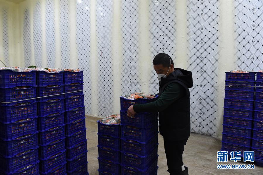 （圖文互動）（7）與疫情抗?fàn)?與春光同行&mdash;&mdash;廣西農(nóng)村春耕備耕一線觀察