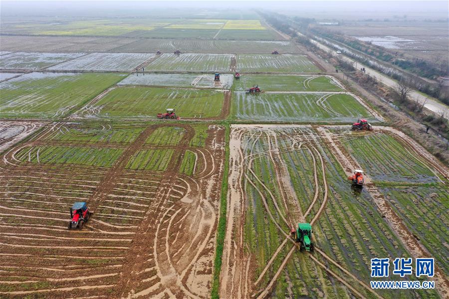 （抓好春耕備耕 穩(wěn)住農業(yè)生產&middot;圖文互動）（2）智能農機、&ldquo;訂單&rdquo;服務、&ldquo;云端&rdquo;種菜&mdash;&mdash;來自江西的春耕&ldquo;新事&rdquo;