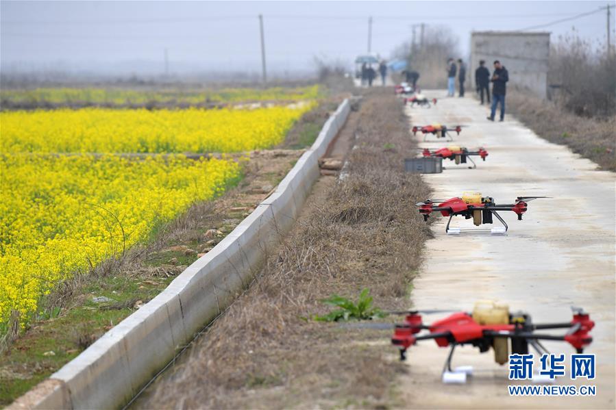 （抓好春耕備耕 穩(wěn)住農業(yè)生產&middot;圖文互動）（4）智能農機、&ldquo;訂單&rdquo;服務、&ldquo;云端&rdquo;種菜&mdash;&mdash;來自江西的春耕&ldquo;新事&rdquo;