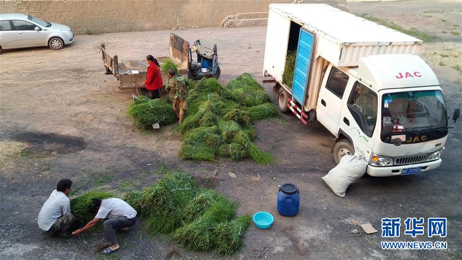 （決戰決勝脫貧攻堅&middot;圖文互動）（2）三訪長征村