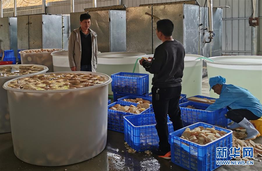 （決戰決勝脫貧攻堅&middot;圖文互動）掛牌督戰，一個都不能少&mdash;&mdash;江西確保剩余9.6萬貧困人口全部脫貧