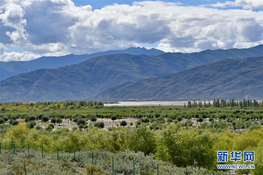 (圖文互動)(4)“今天的生活,就像夢里夢到那樣甜”——寫在西藏百萬農奴解放61周年之際