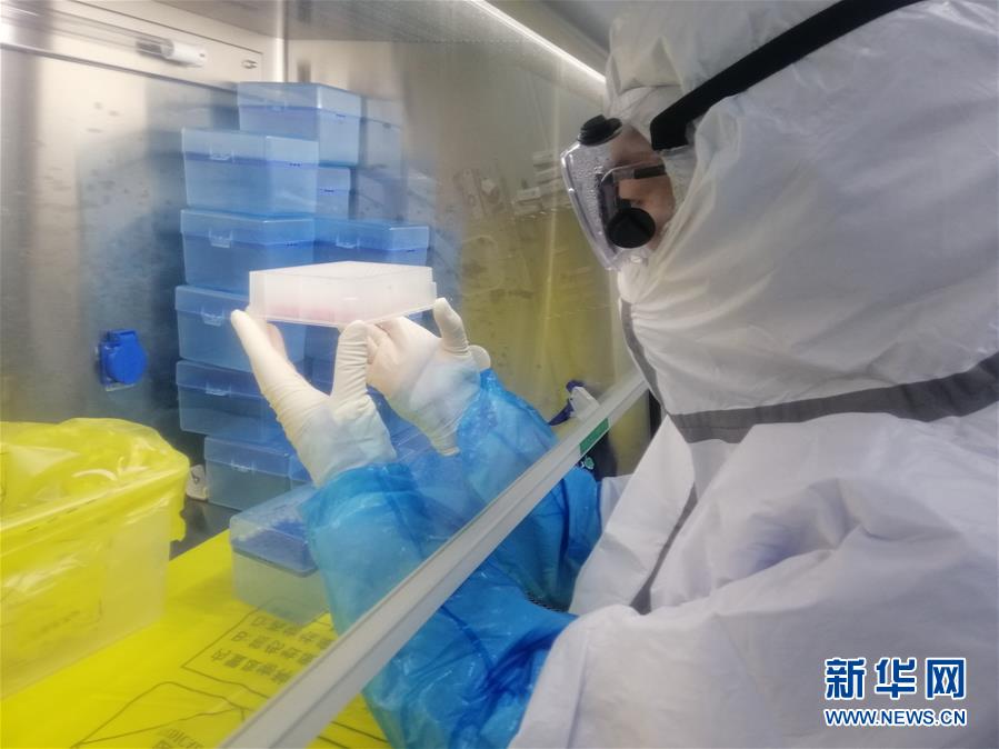 （一線抗疫群英譜&middot;圖文互動）（2）&ldquo;95后&rdquo;大學生郝鶯歌：退掉車票，她選擇直面病毒