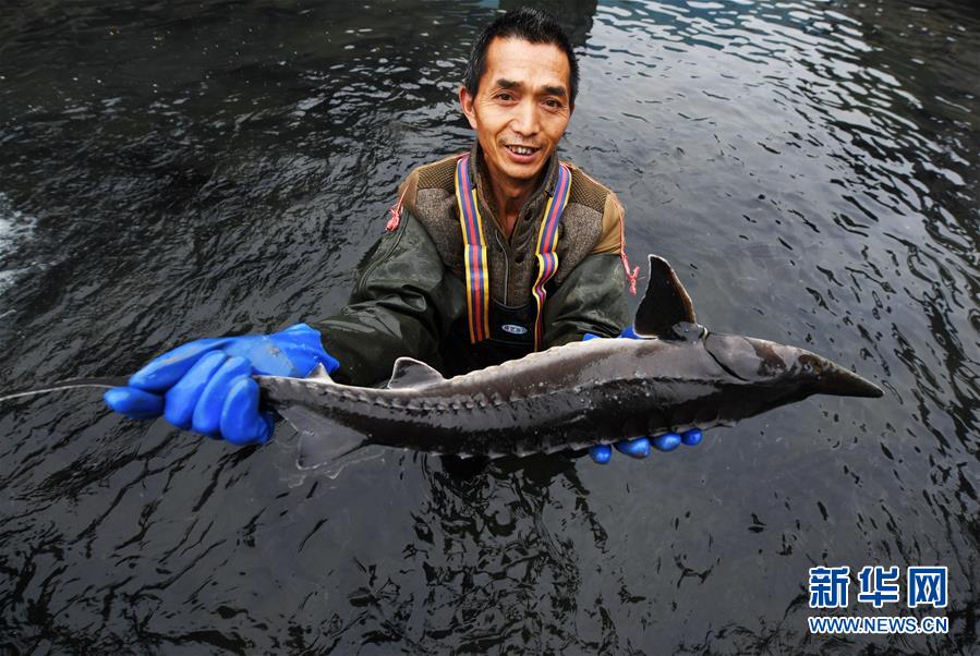 （決戰(zhàn)決勝脫貧攻堅(jiān)&middot;圖文互動(dòng)）（4）多重保障 不漏一人&mdash;&mdash;貴州一個(gè)脫貧&ldquo;摘帽&rdquo;縣的防貧機(jī)制探索