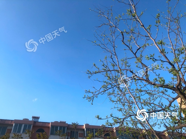 陣風8級！北京遭遇雨后大降溫 北風勁吹需添衣