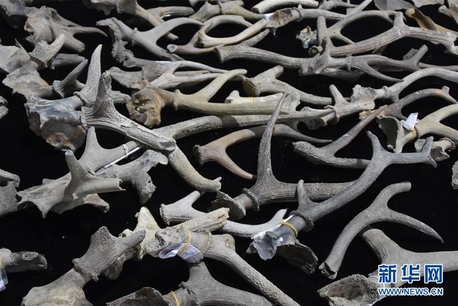 (圖文互動)(2)浙江余姚發(fā)現(xiàn)早于河姆渡文化1000年的史前遺址