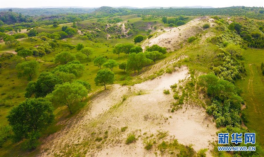 （新華全媒頭條&middot;圖文互動）（7）京津最近&ldquo;大沙盆&rdquo;逆轉記