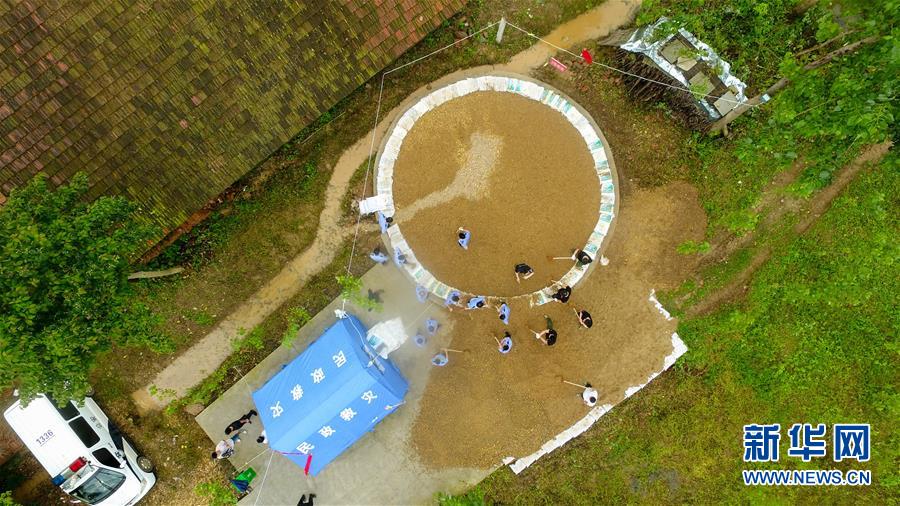 （防汛抗洪&middot;圖文互動）（2）&ldquo;險情不可怕，可怕的是不能及時發現險情&rdquo;&mdash;&mdash;洞庭湖巡堤查險現場直擊