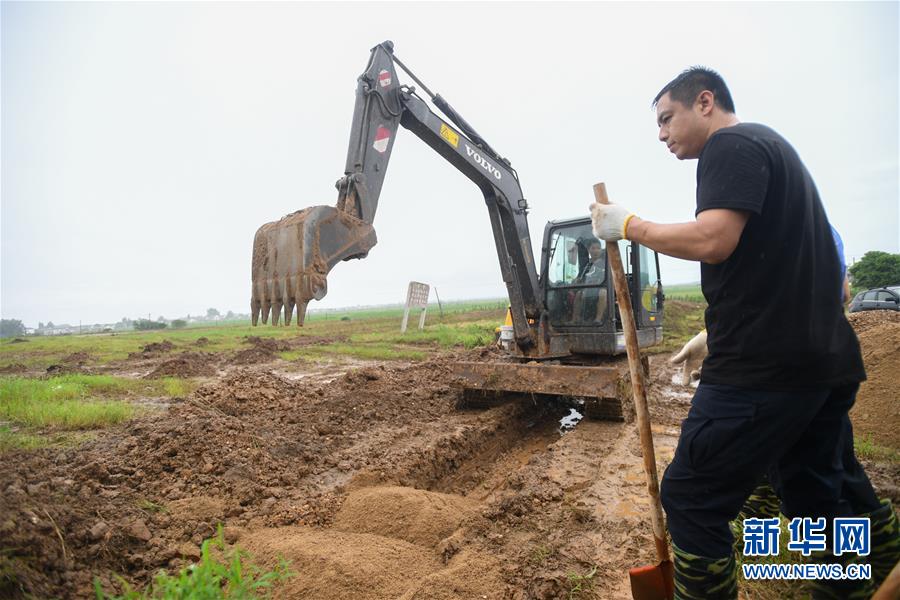 （防汛抗洪&middot;圖文互動）（3）&ldquo;險情不可怕，可怕的是不能及時發現險情&rdquo;&mdash;&mdash;洞庭湖巡堤查險現場直擊